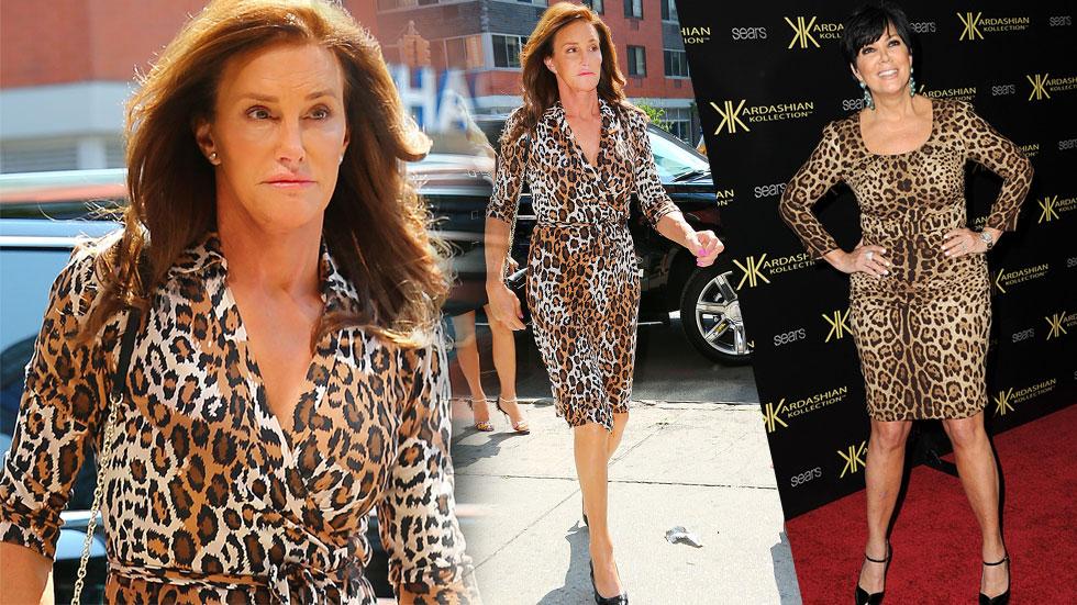 Caitlyn Jenner Leopard Skin Kris Dress