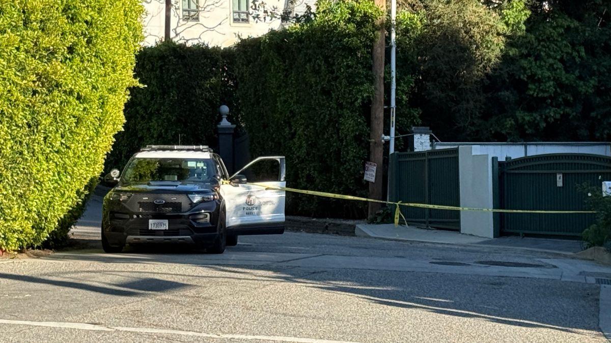 picture of police car on Rihanna's street