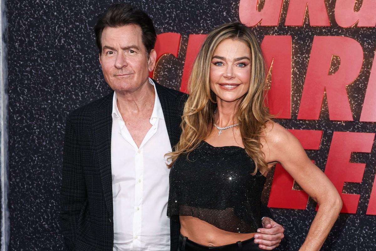 Denise Richards reportedly bonded with Sheen over their separate financial disputes with former partners.