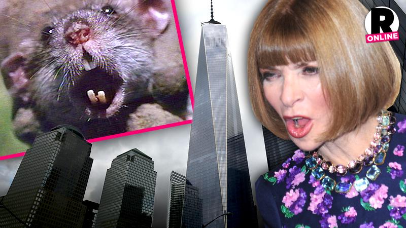 //anna wintour rats freedom tower new vogue office pp sl