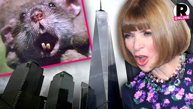 Kimye’s Fault? Anna Wintour’s NYC ‘Vogue’ Offices Hit With Disgusting ...