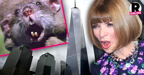 //anna wintour rats freedom tower new vogue office pp sl