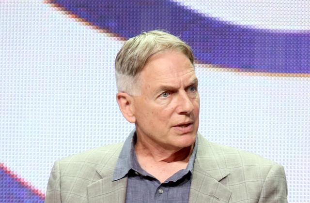 mark harmon custody battle