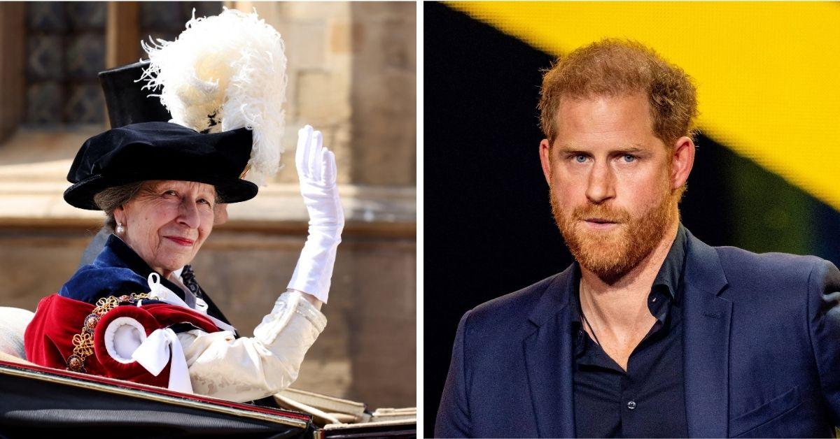 Photo of Princess Anne and Prince Harry