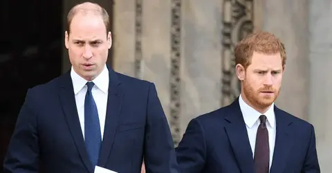 princes william and harry rocked by mohamed al fayed sex scandal