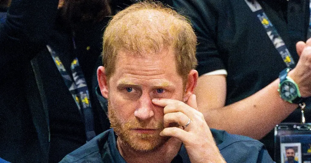 prince harry savage swipe king charles royal family take care children