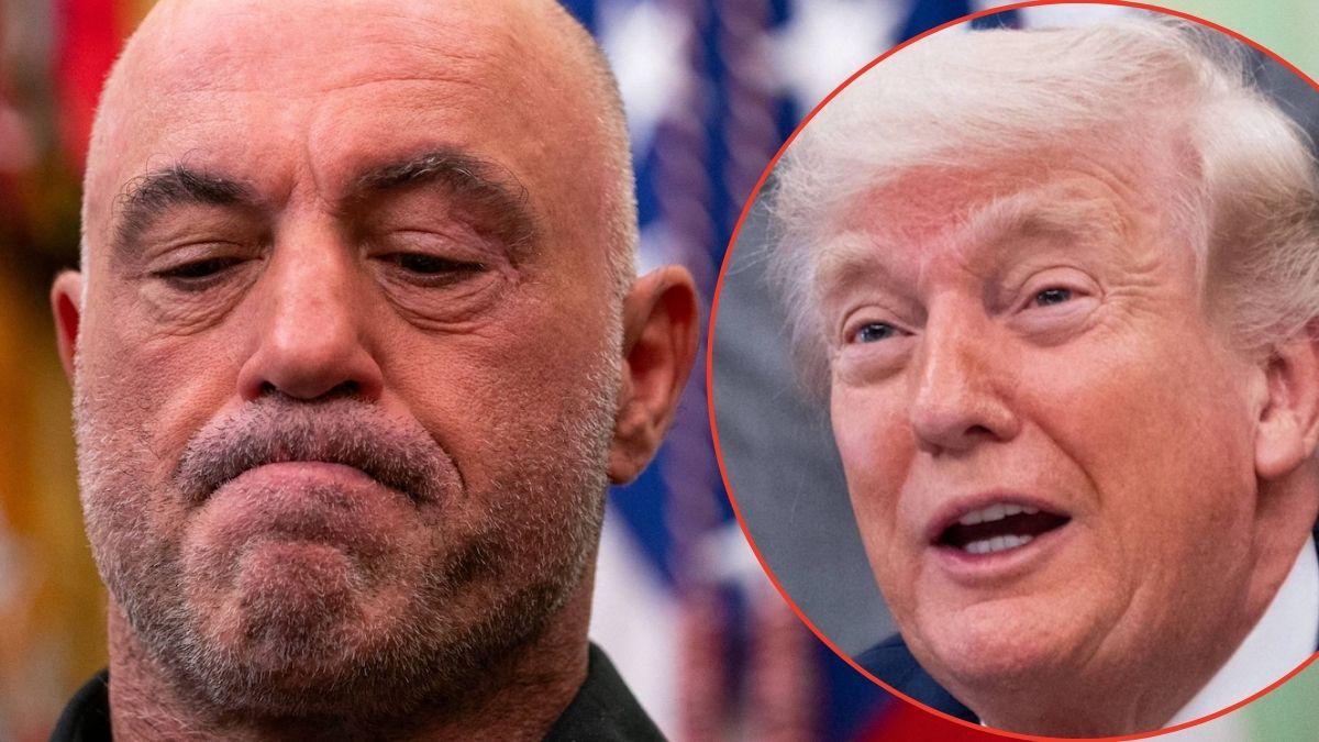 Photo of Joe Rogan, Donald Trump