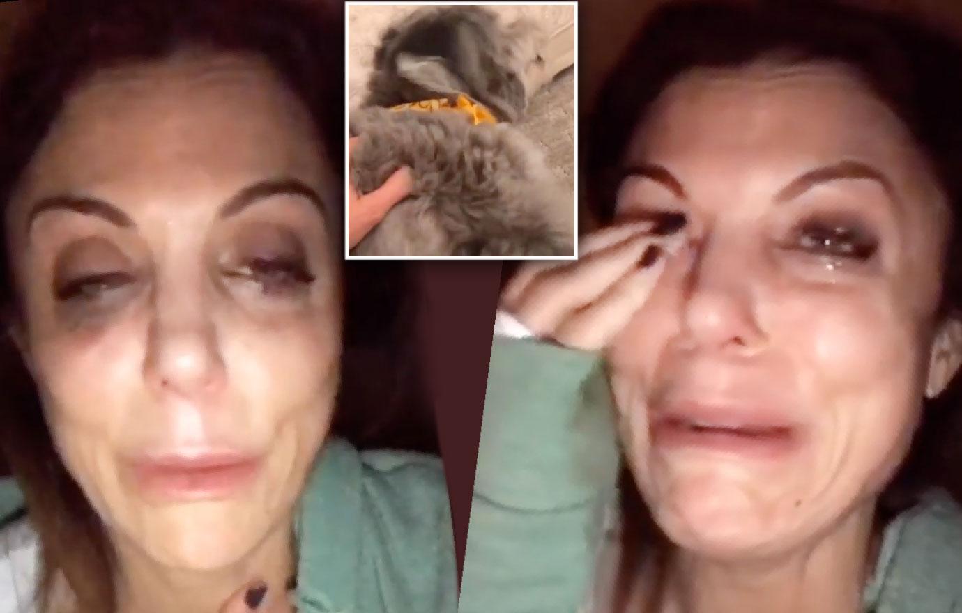 Bethenny Frankel Freaks Out As Dog Has Seizure Video