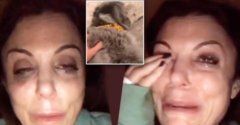 Bethenny Frankel Freaks Out As Dog Has Seizure Video
