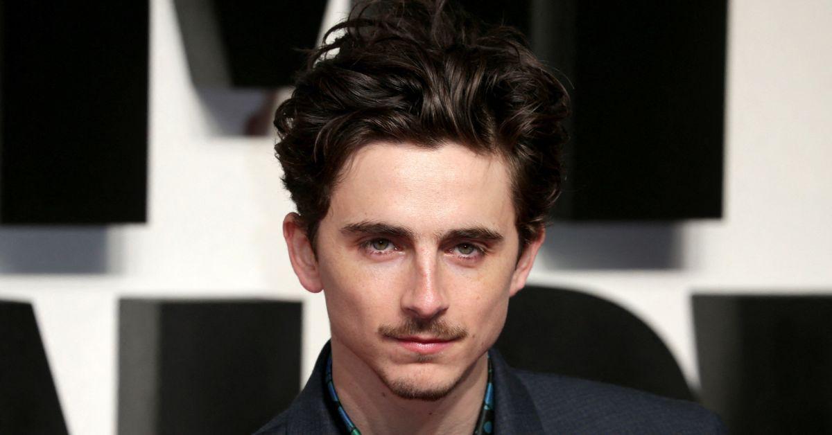 picture of Timothée Chalamet