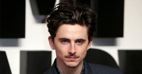 picture of Timothée Chalamet