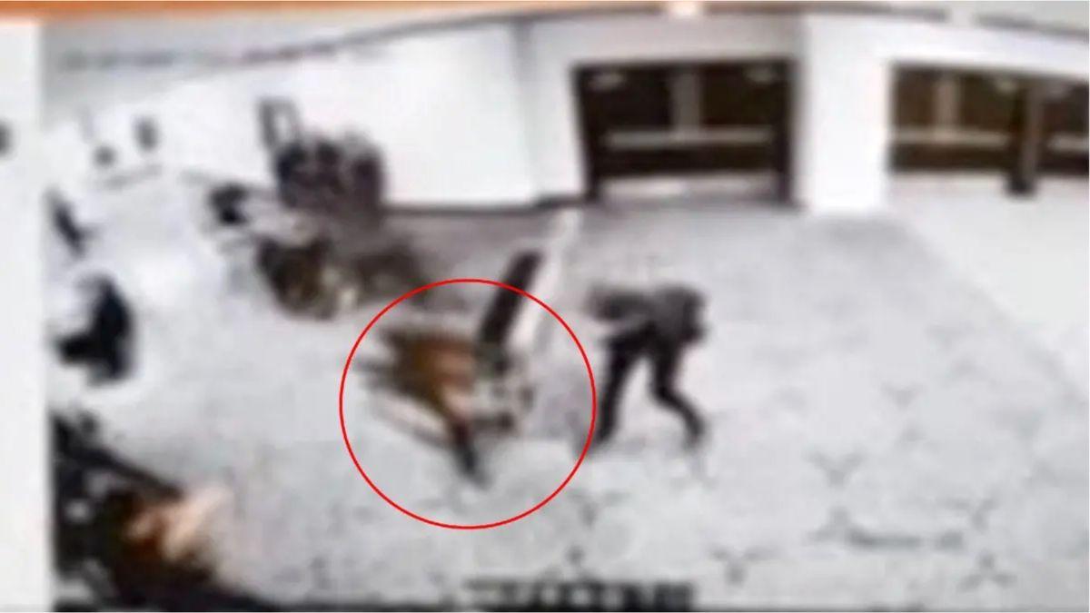 image of The expert noted his mindset did not reflect a sudden breakdown.