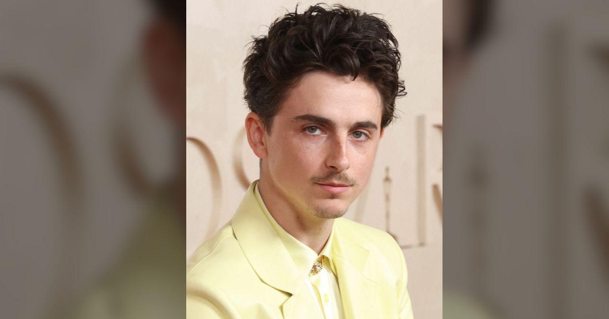 kylie jenner timothee chalamet romance strains kardashian circus