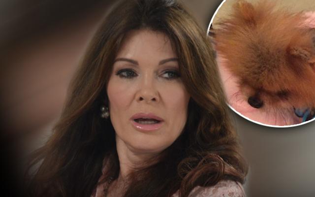 Lisa Vanderpump Dog Death