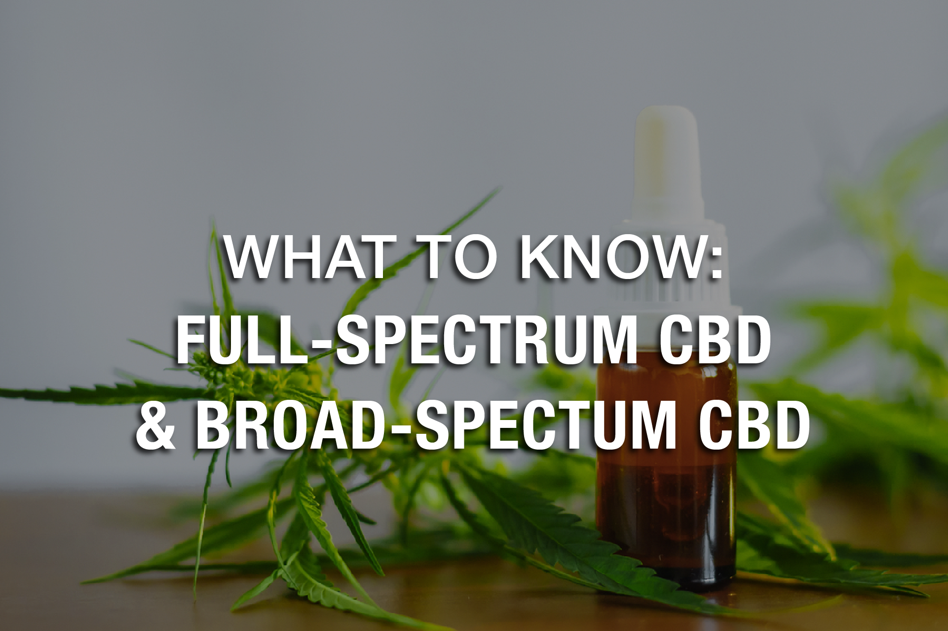 What to Know About Full-Spectrum and Broad-Spectrum CBD