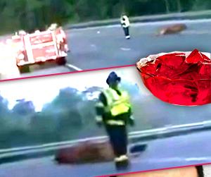 //man caught filming sex cow jello tall