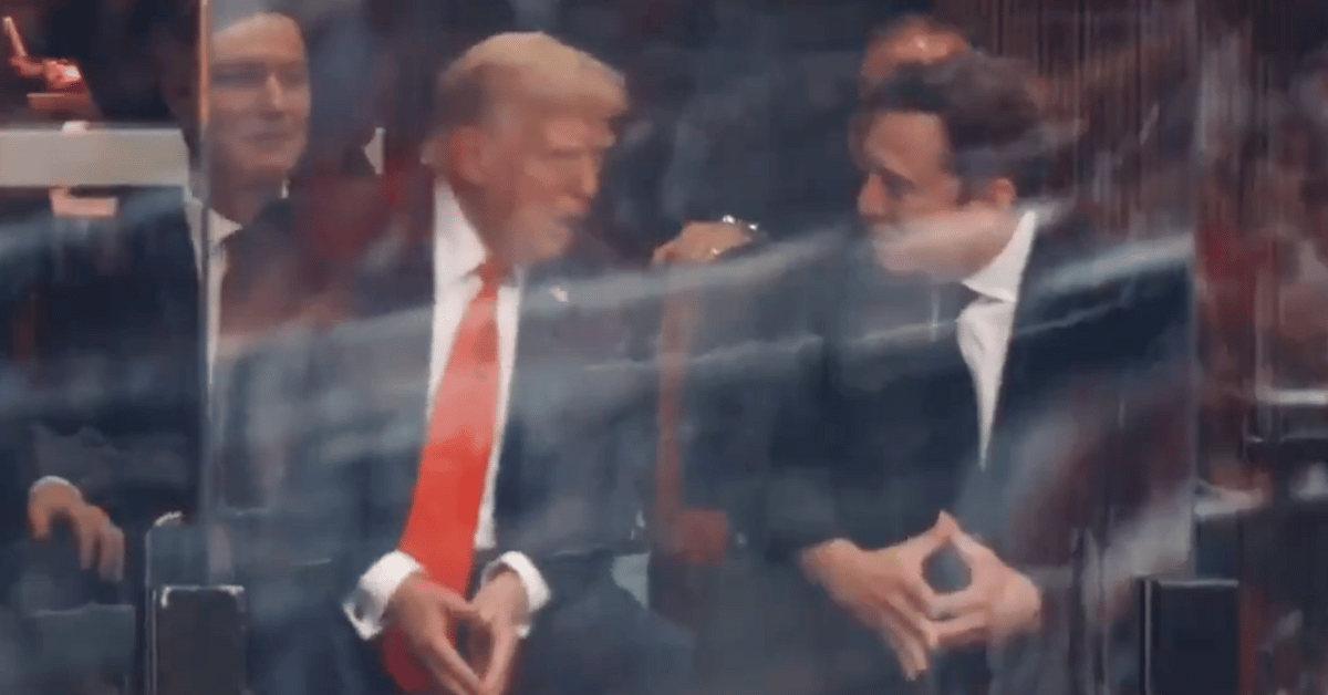 Photo of Donald Trump and Elon Musk