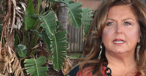 //abby lee miller house horrors caught on camera pp