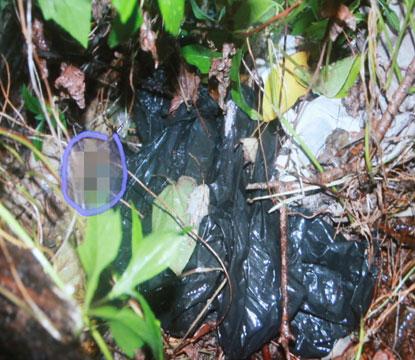PHOTOS: Graphic Crime Scene Pictures Introduced Into Evidence