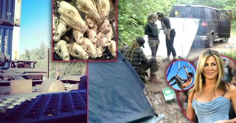 //jen aniston half bro wild wide