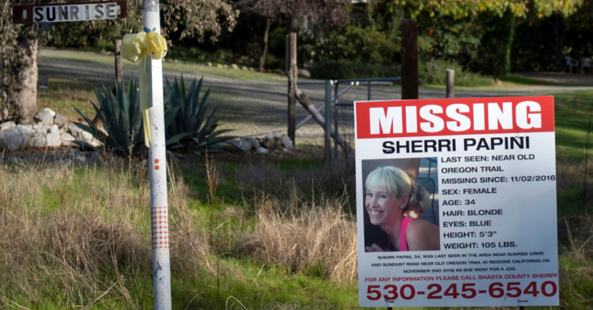 sherri papini missing poster