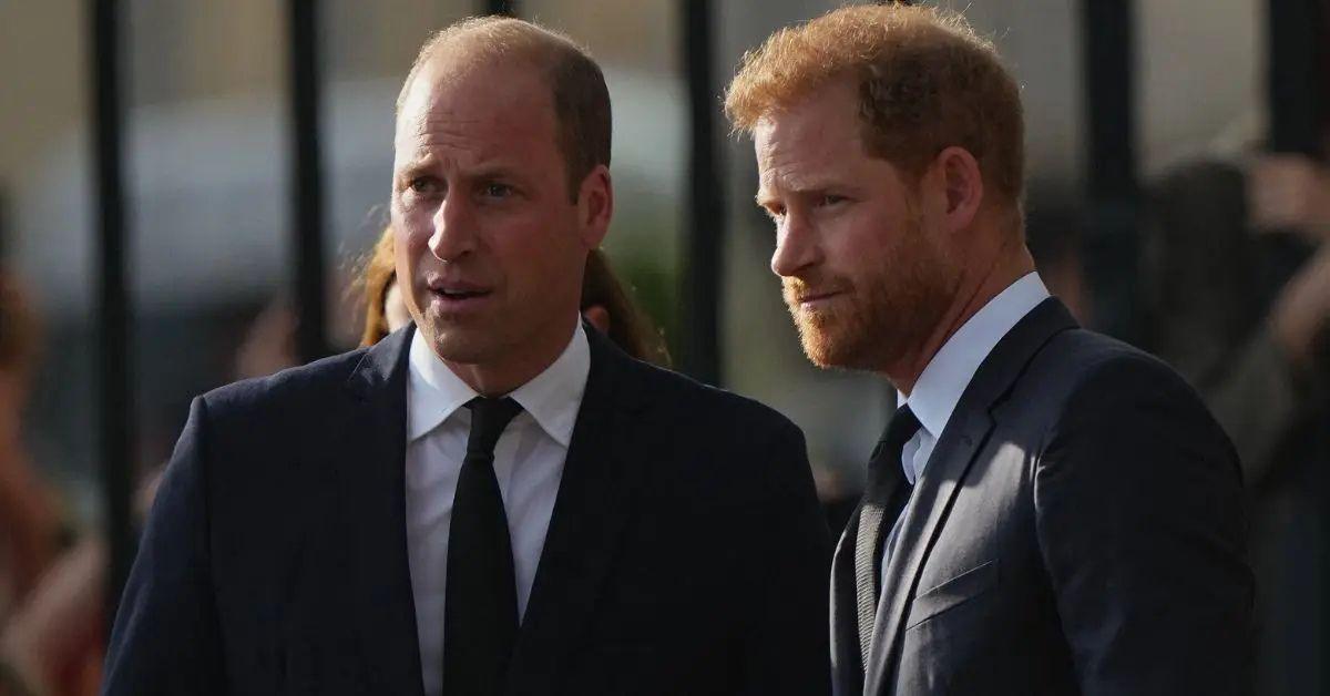photo of prince harry and prince williams