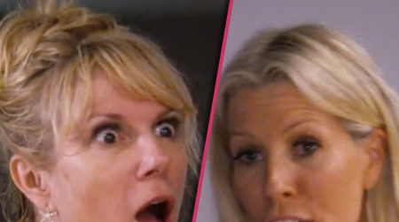 //ramona singer aviva drescher pp