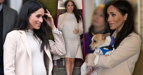 ‘Fat’ Meghan Markle Laughs Off Royal Insult During Animal Charity Visit
