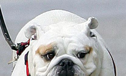 //ffn__flynet_hstern__bf__