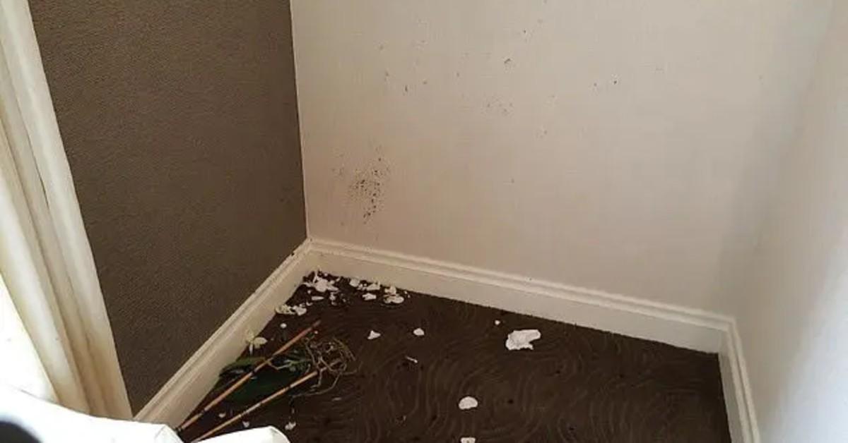 diddy cassie ventura elevator assault hotel room damage department of justice
