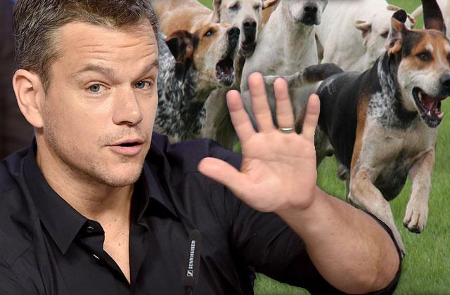 Matt Damon dog look-alike 