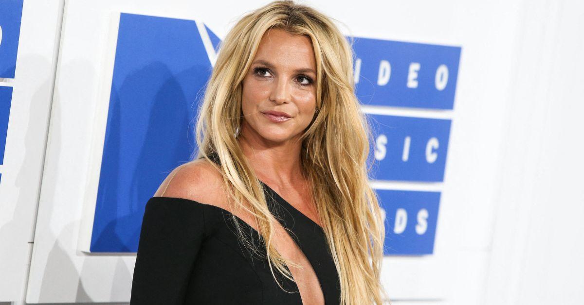 Concerns are growing over Spears' dogs, as insiders cited chaotic conditions in her home.