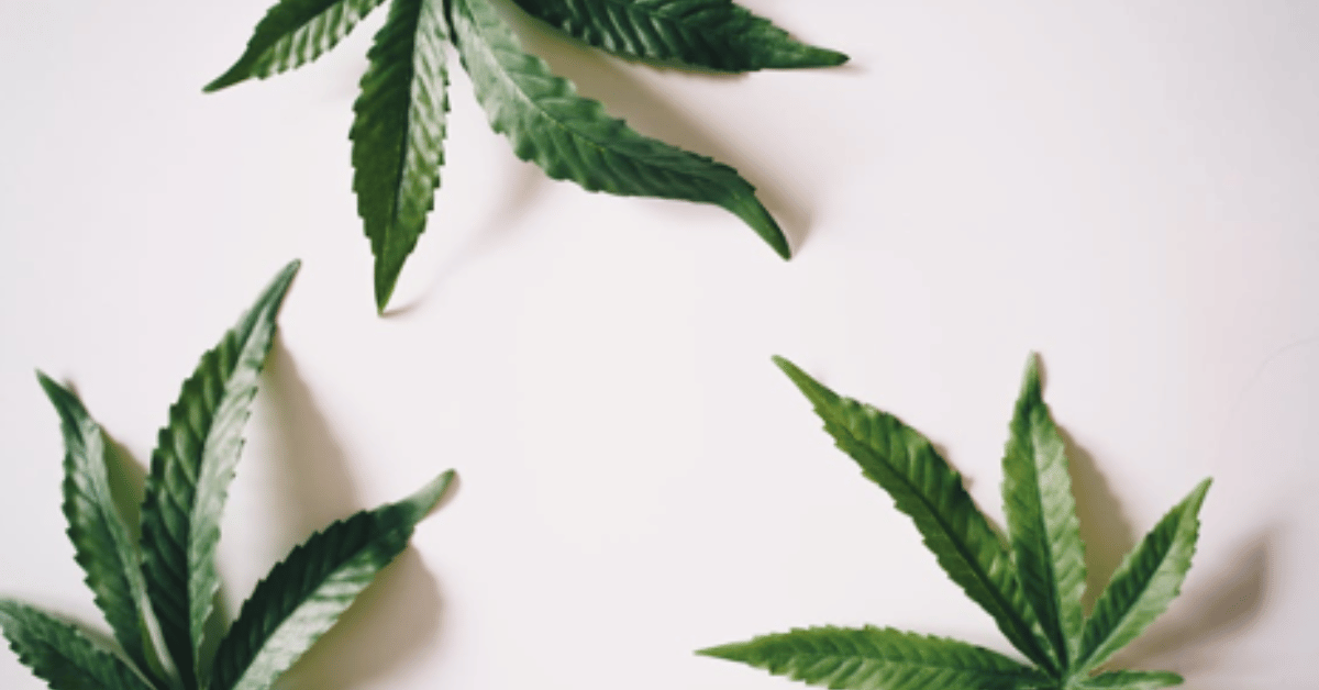 CBD’s Ascendancy in the Wellness Sector: Latest Trends and Developments CBD’s Ascendancy in the Wellness Sector: Latest Trends and Developments