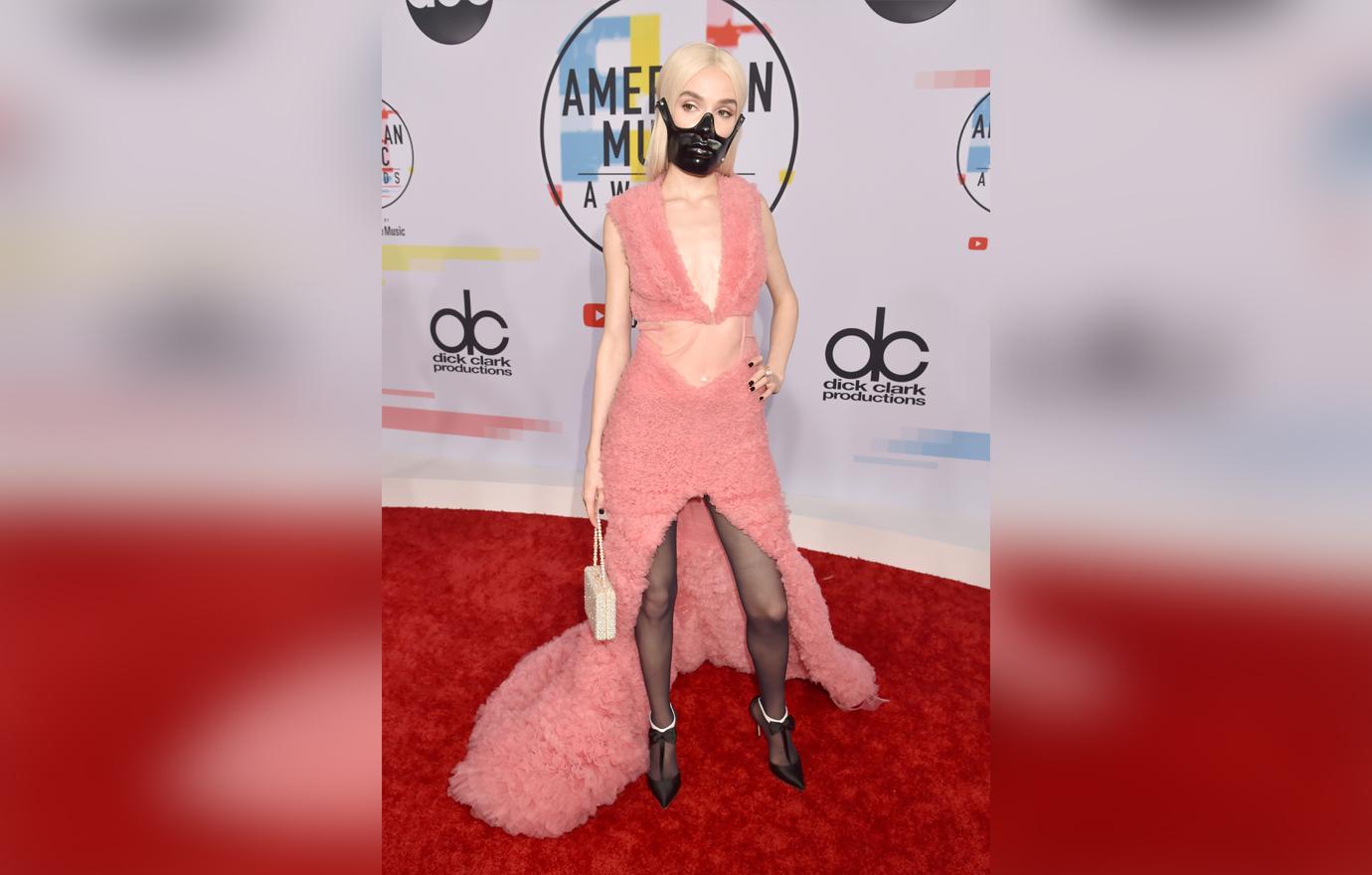 American Music Awards Red Carpet Celebrity Arrivals