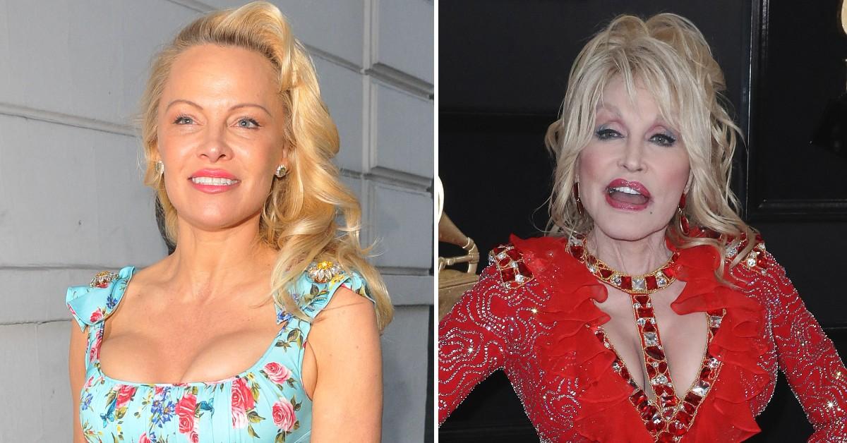 pamela anderson dolly parton hollywood breasts