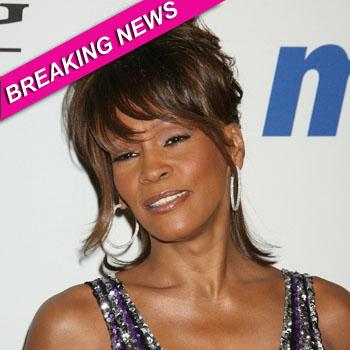 //whitney houston autopsy splash