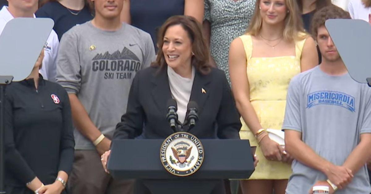 Kamala Harris speaks on the White House lawn.