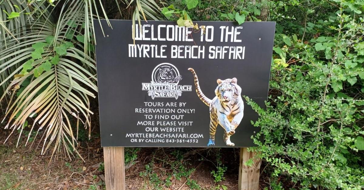 Myrtle Beach Safari