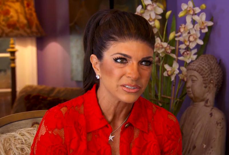 Teresa Giudice Prison Book Secrets