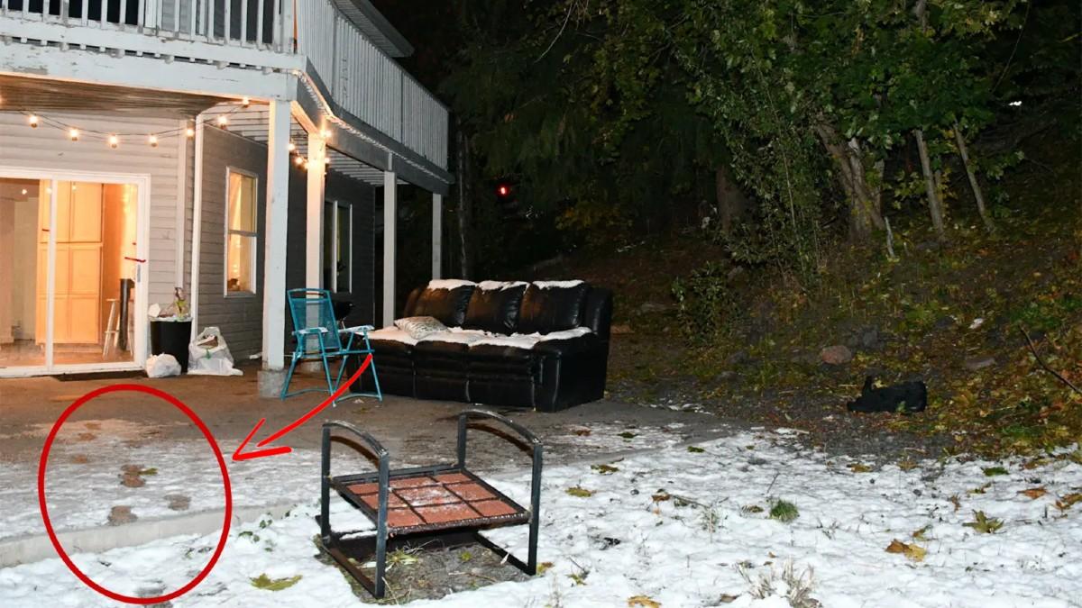 Photo of footprints leading away from the home