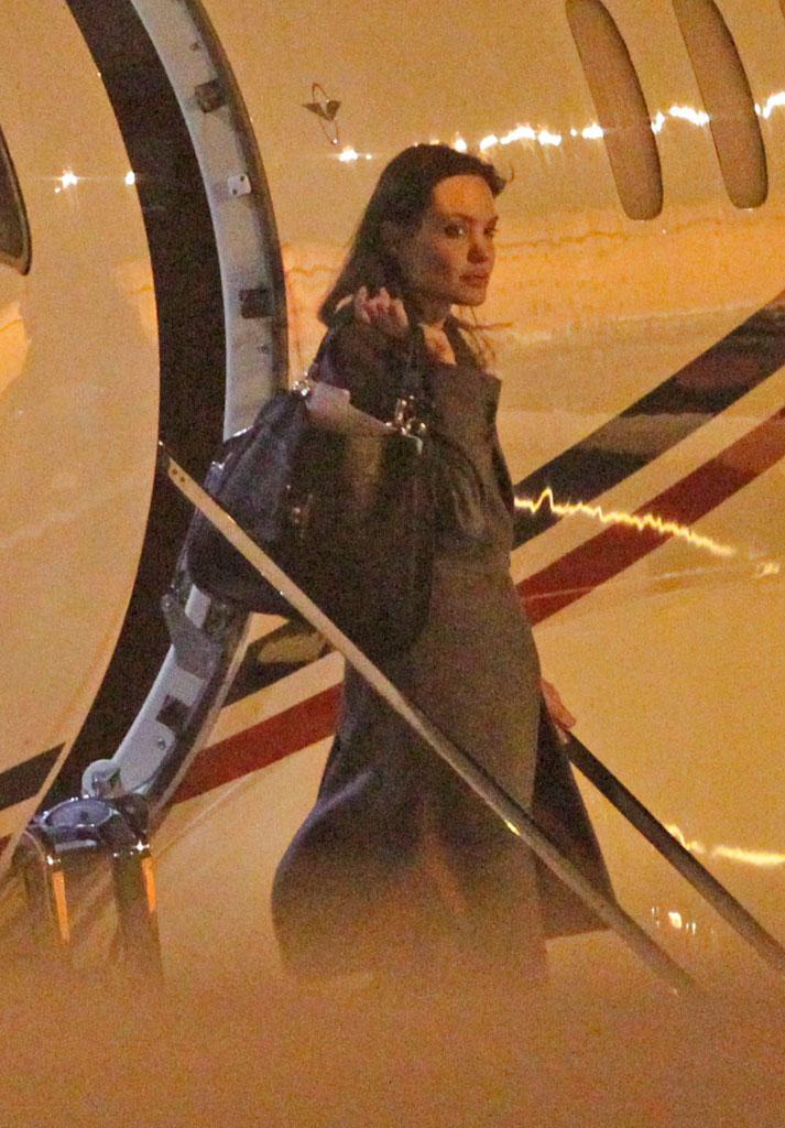 Angelina Jolie Brad Pitt Divorce Under Investigation Plane Incident