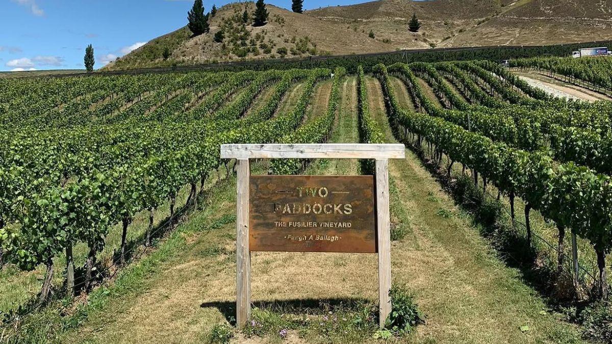 Photo of Two Paddocks