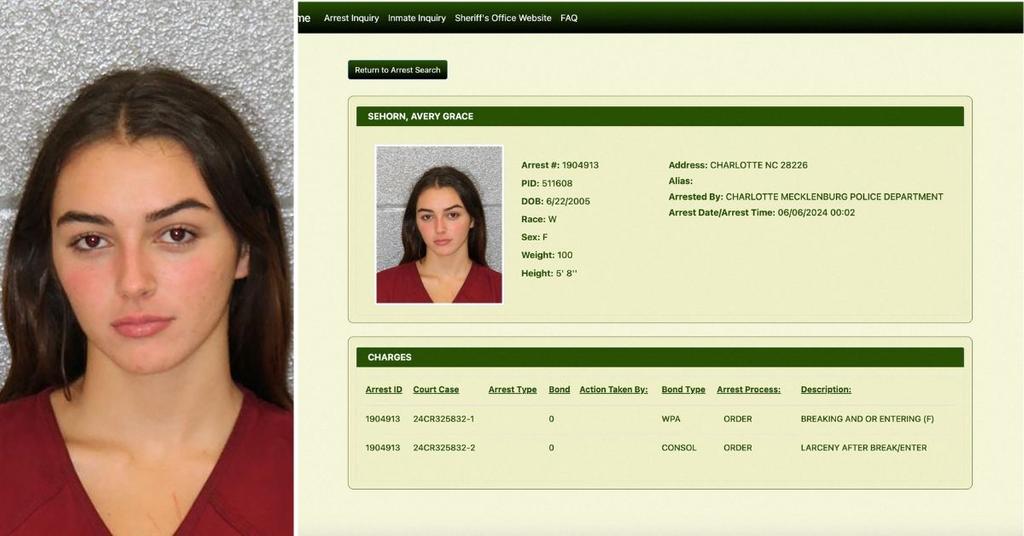 See The Mugshot: 'Law & Order' Star Angie Harmon's Daughter Arrested