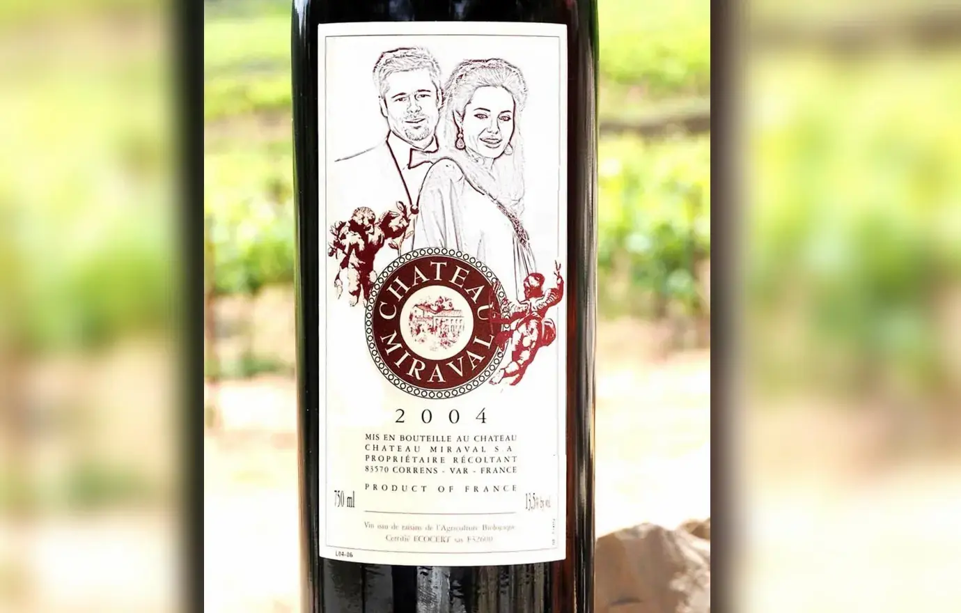 brad angelina wine