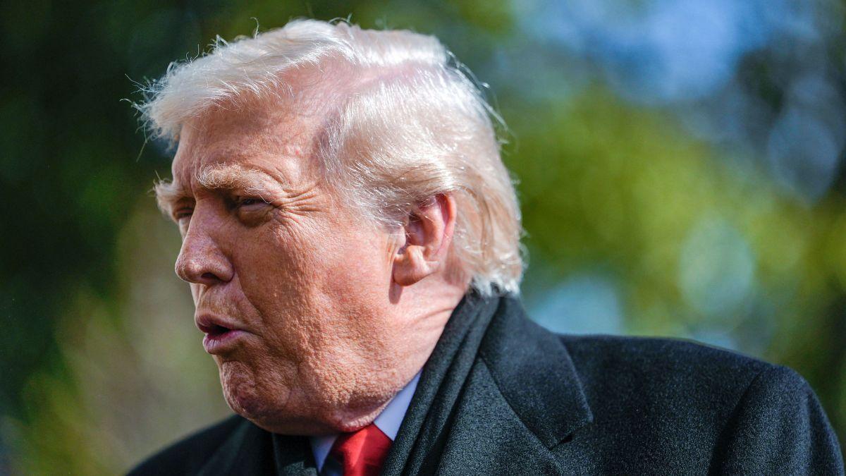 picture of donald trump