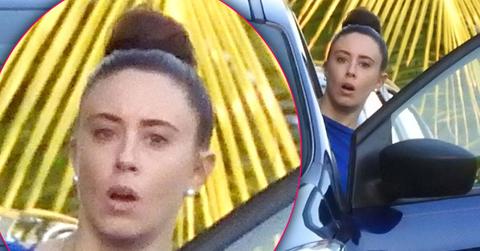 //casey anthony thanksgiving trip florida pp