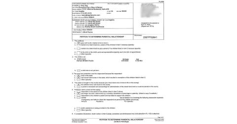 al pacino kids were very upset about his baby news noor alfallah