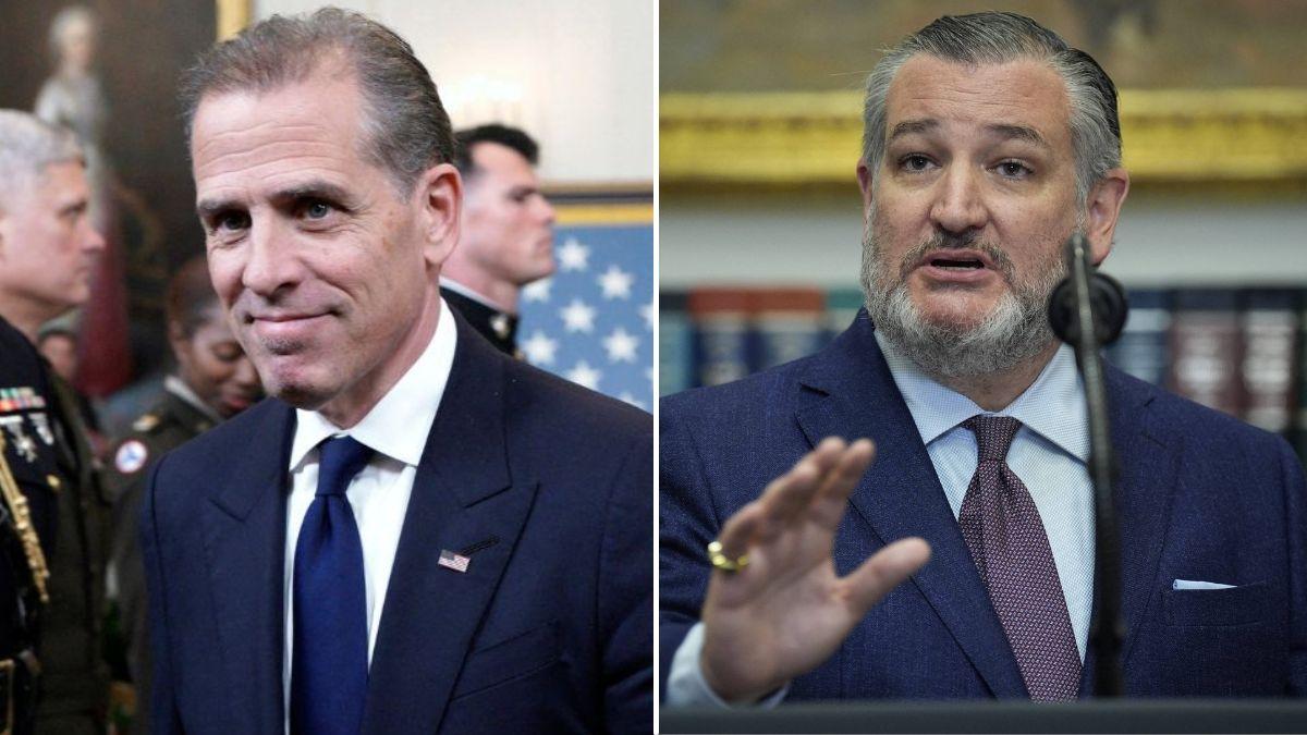 split image of Hunter Biden and Ted Cruz
