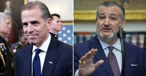 split image of Hunter Biden and Ted Cruz