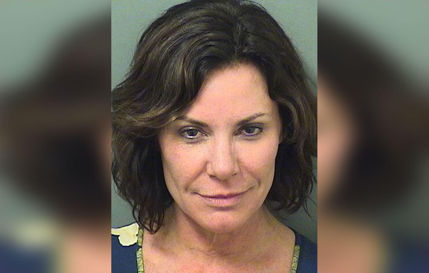 LuAnn De Lesseps Arrest DUI Bloody Cop